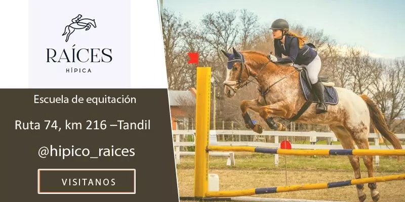 CENTRO HÍPICO RAÍCES - Escuela de equitación